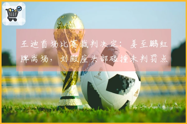 王迪首场比赛裁判决定：姜至鹏红牌离场，刘殿座头部碰撞未判罚点球