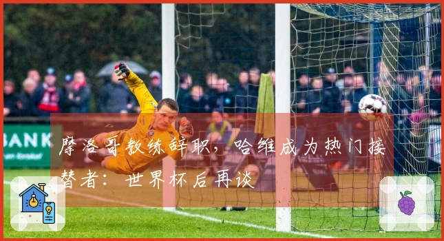 摩洛哥教练辞职，哈维成为热门接替者：世界杯后再谈